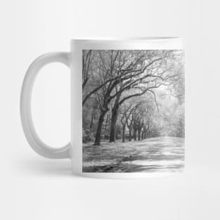 Live Oaks And Spanish Moss Wormsloe State Historic Site Savannah Mug